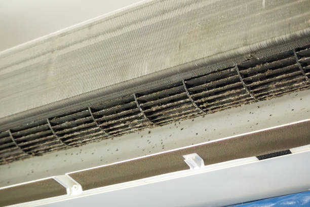 Best Local Air Duct Cleaning Services  in Thorndale, TX