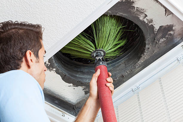 Best Air Vent Cleaning Services  in Thorndale, TX
